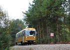 VT13 nach Litschau (2)